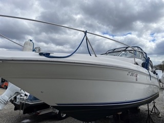 Boats For Sale in Rhode Island by owner | 1995 29 foot Sea Ray Sundancer